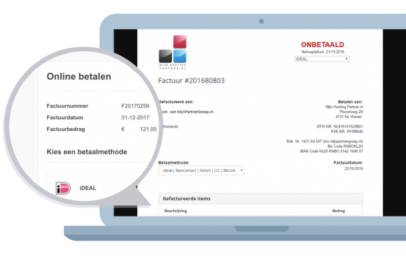 Online betalen via iDEAL, PayPal of creditcard vanuit de factuur